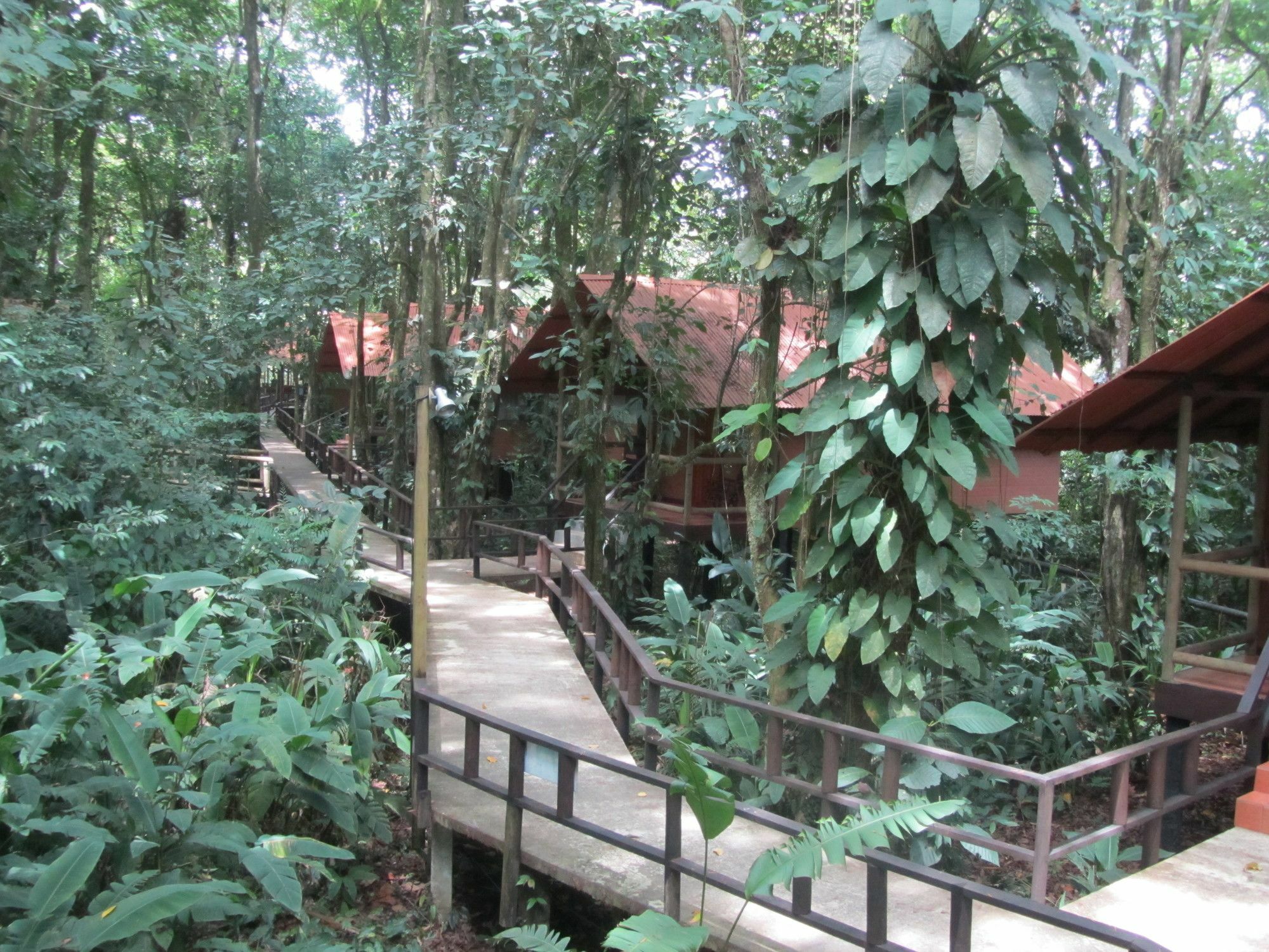 Rana Roja Lodge Тортугеро Экстерьер фото